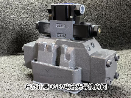 東京計(jì)器DG5V-H8-2C-T-P2-T-86-JA